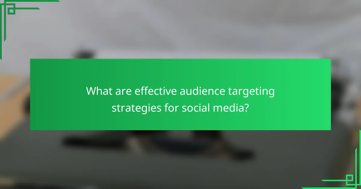 What are effective audience targeting strategies for social media?
