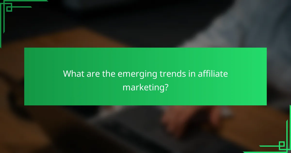 What are the emerging trends in affiliate marketing?